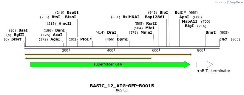 122275_map