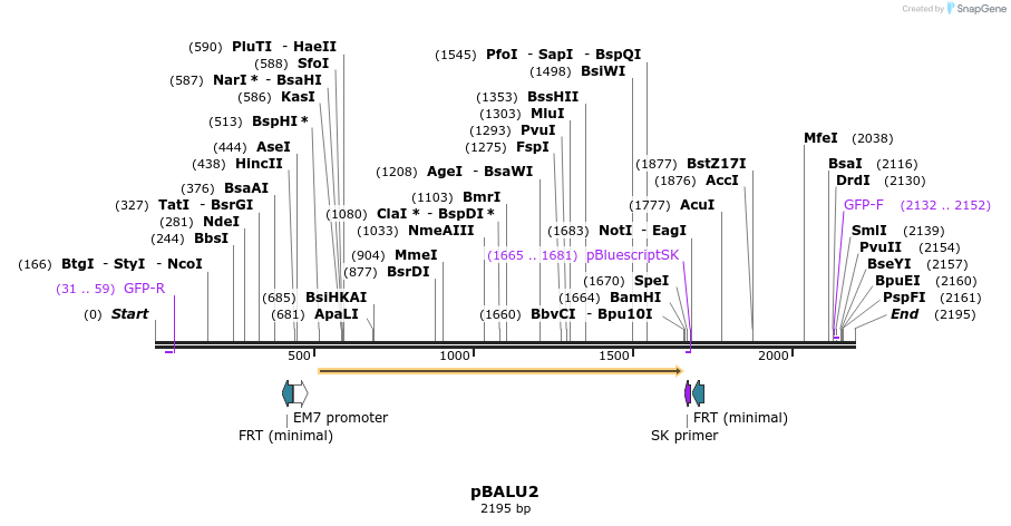 122280_map