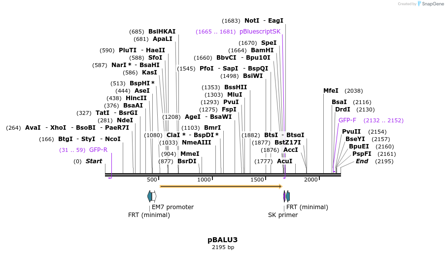 122281_map