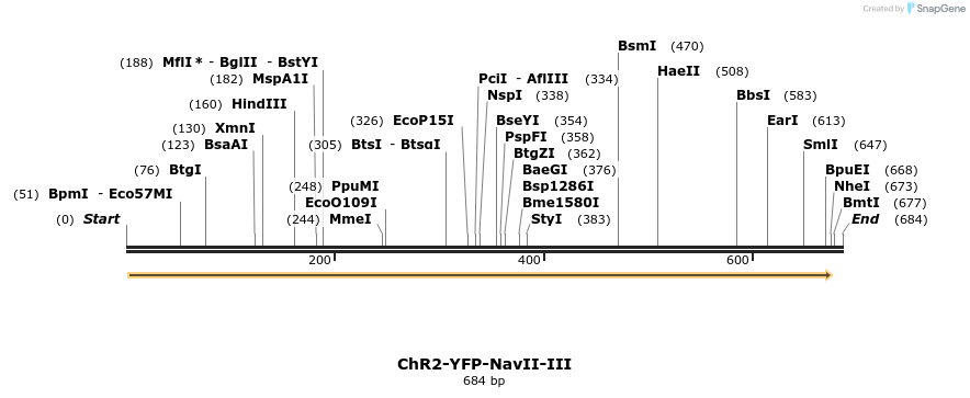 12229_map
