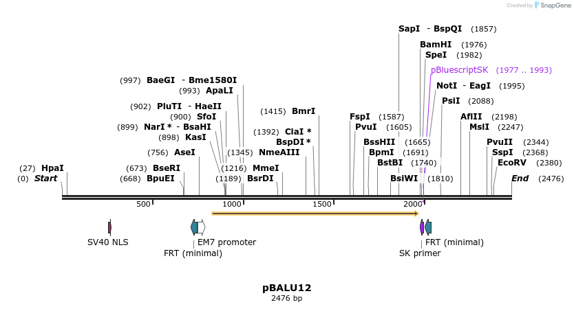 122291_map