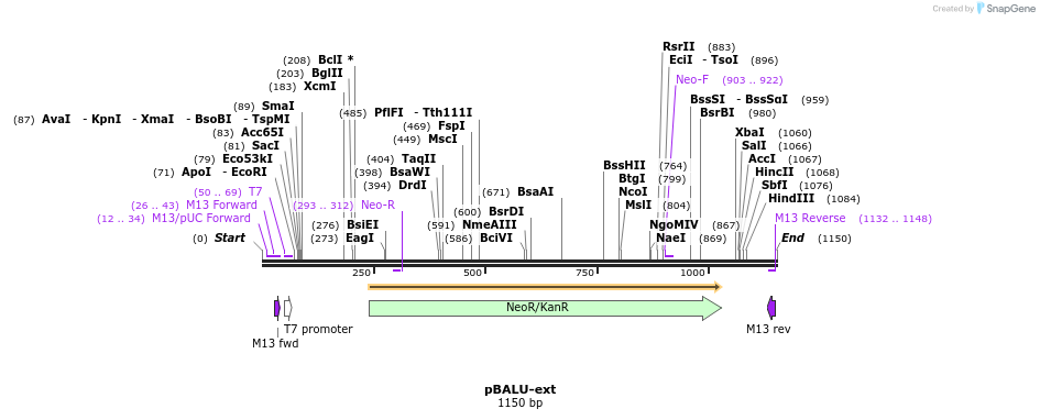 122302_map