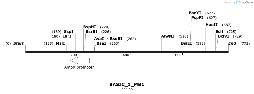 122304_map
