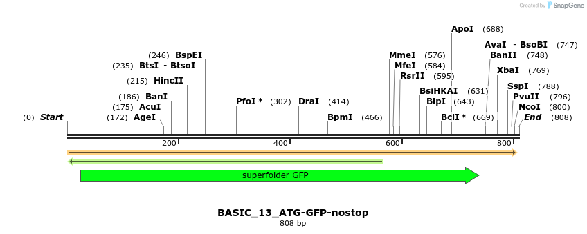 122307_map