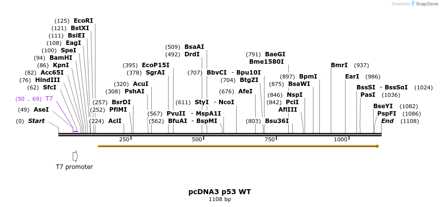122325_map