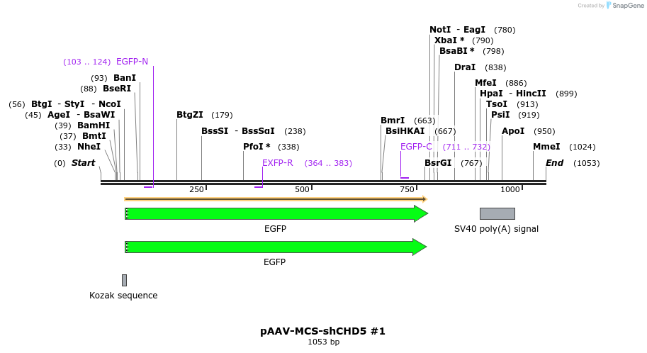 122331_map