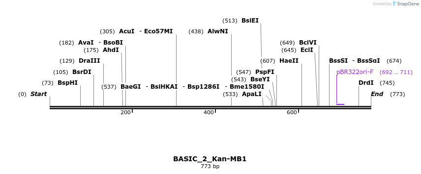 122334_map