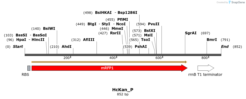 122338_map
