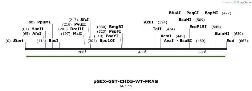122347_map