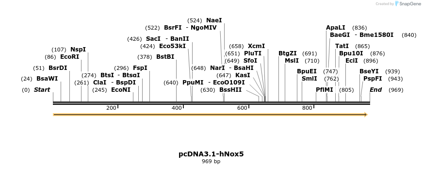 122378_map
