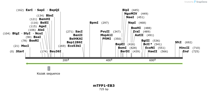 122384_map