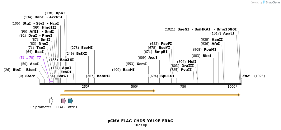 122392_map