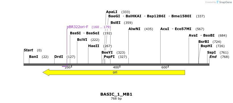 122408_map