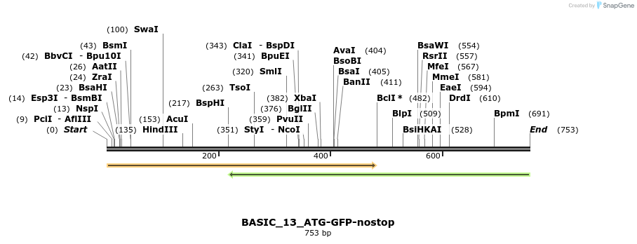 122409_map