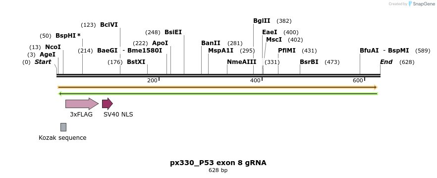 122411_map