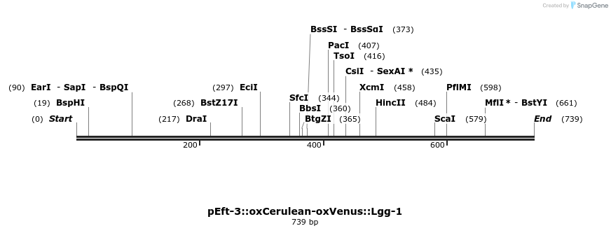122415_map