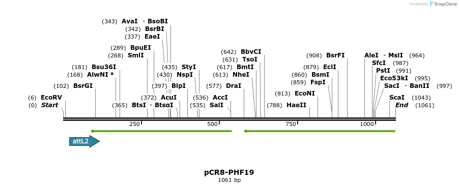 122423_map