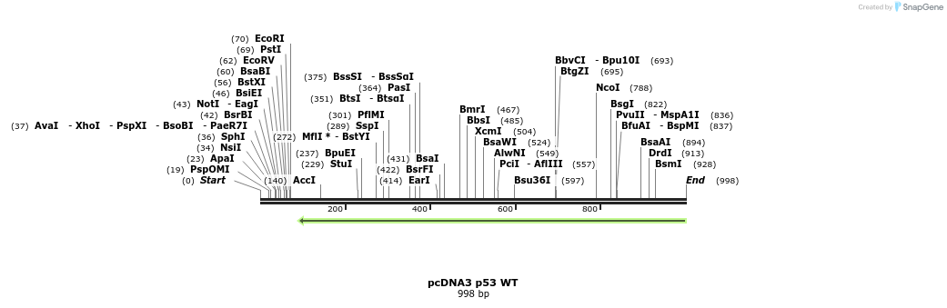 122519_map