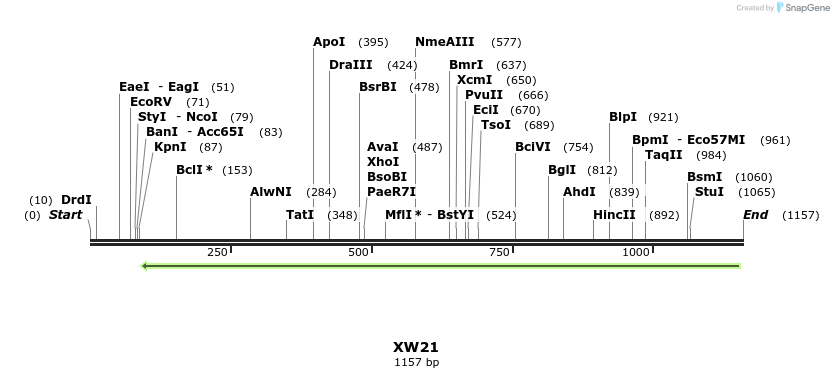 122523_map