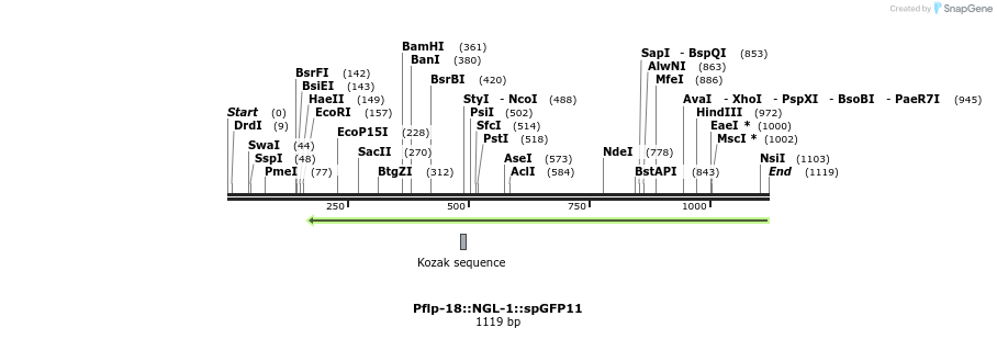 122524_map