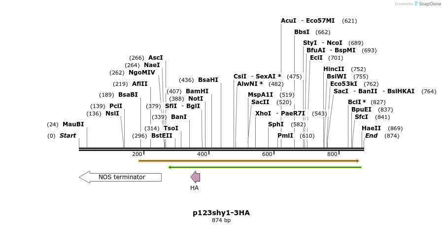 122525_map