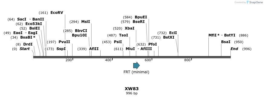 122526_map