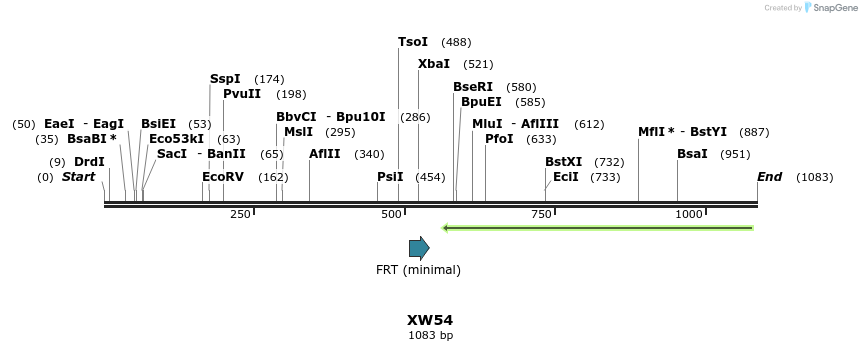 122527_map