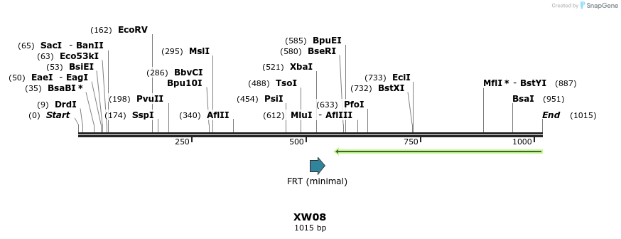 122530_map