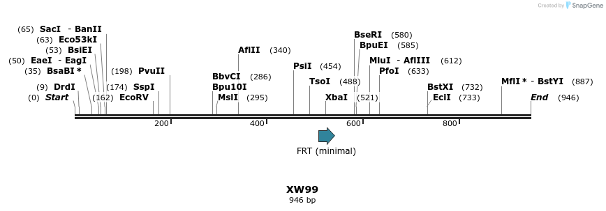 122535_map