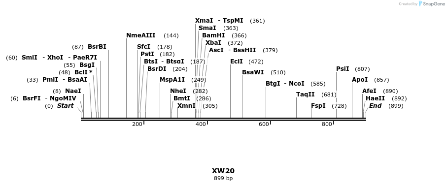 122539_map