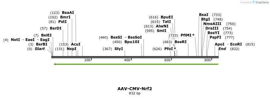 122544_map