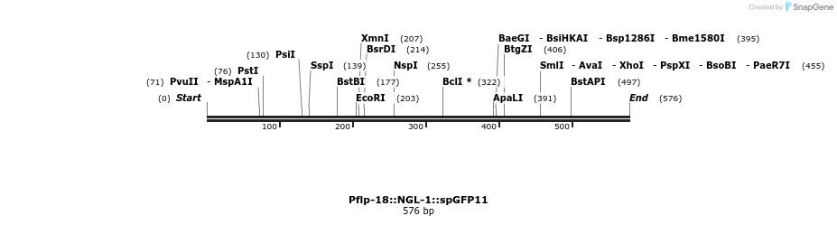 122558_map