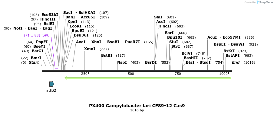 122567_map
