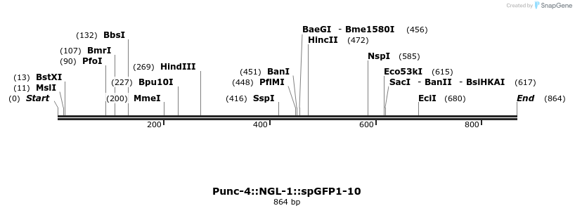 122586_map