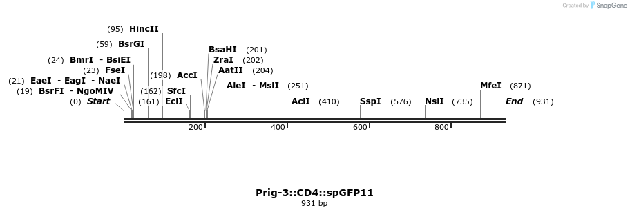 122590_map