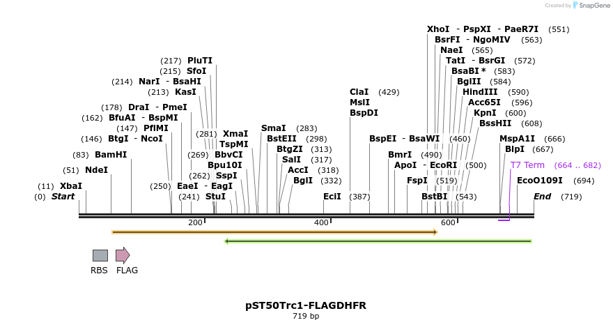 122593_map