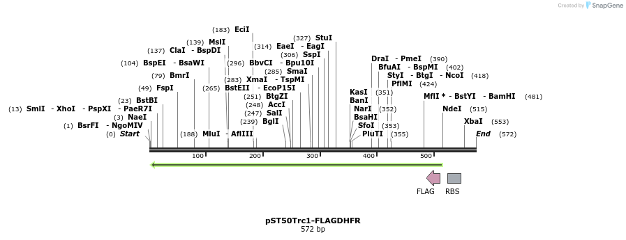 122594_map