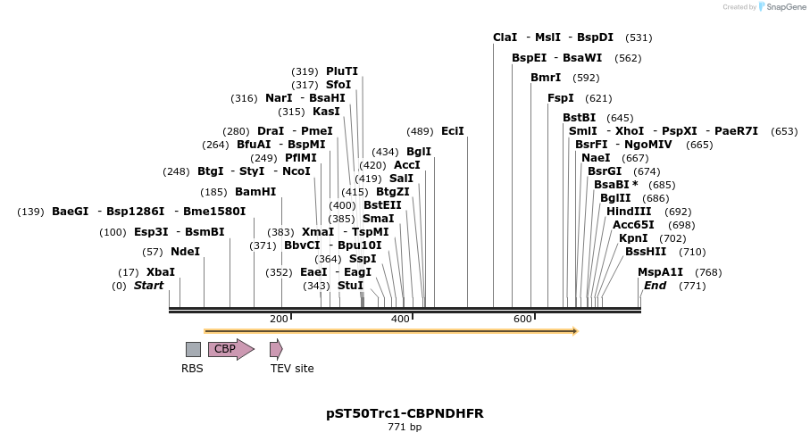 122601_map