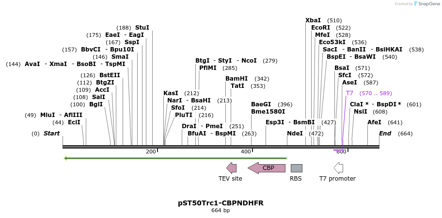 122602_map