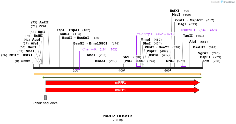 122609_map