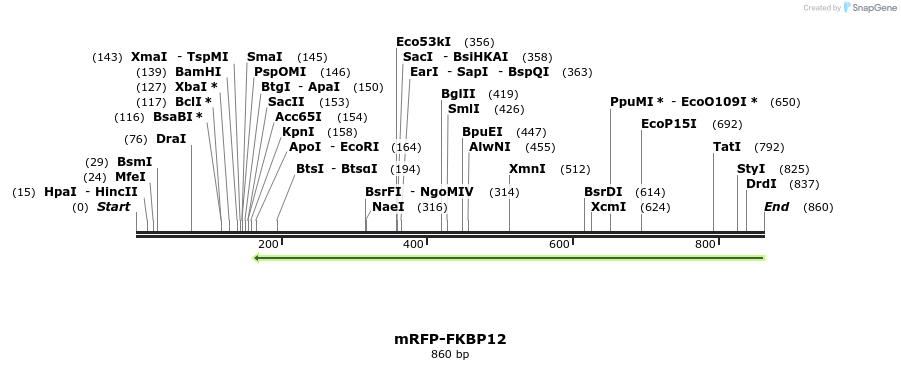 122624_map