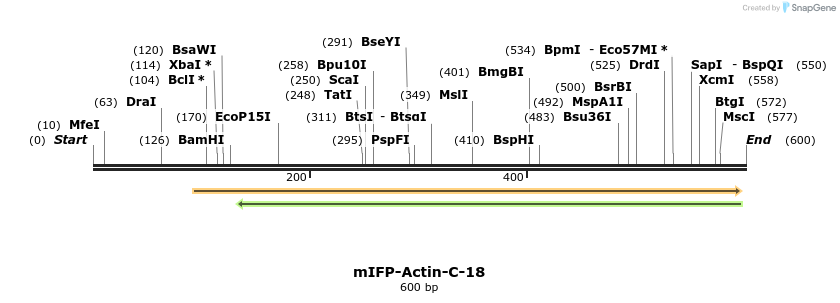 122629_map
