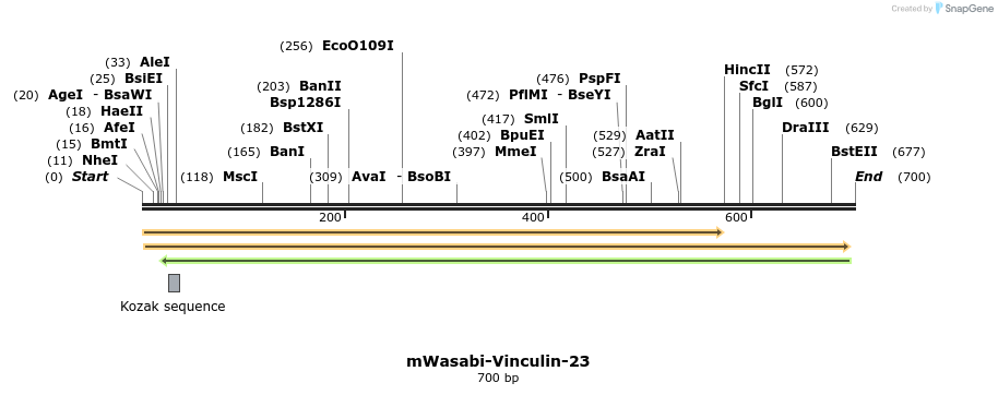 122630_map