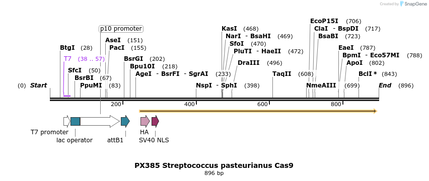 122631_map