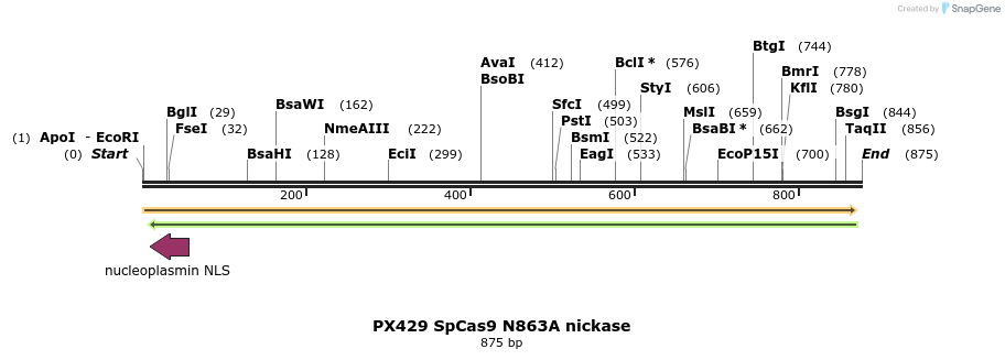 122653_map