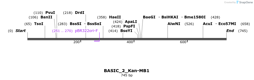 122675_map