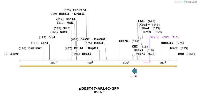 122692_map