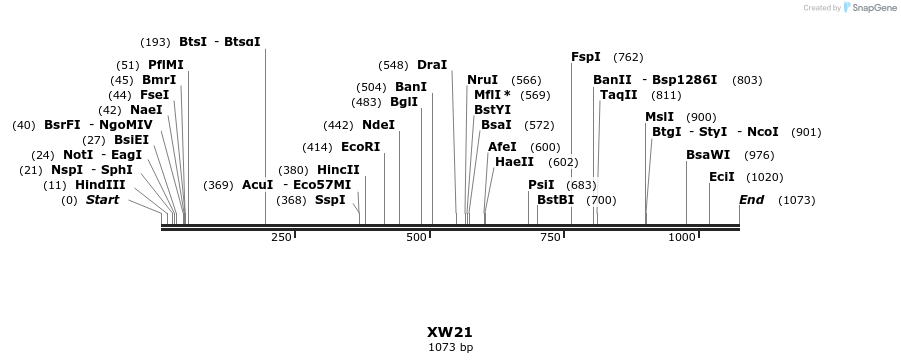 122699_map
