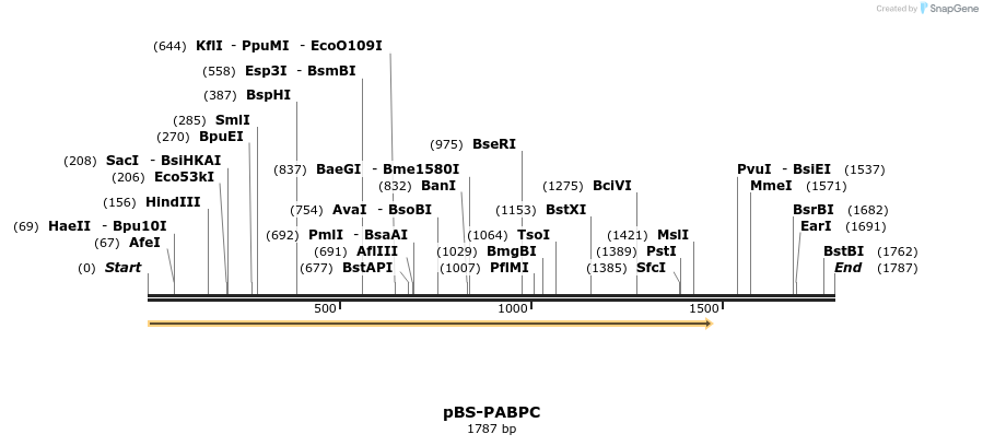 12270_map