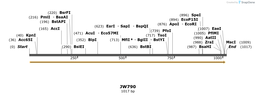 122703_map